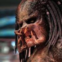 predator.jpg